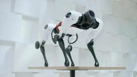 一种新方法可以让腿式机器人更快地学会“自主”移动